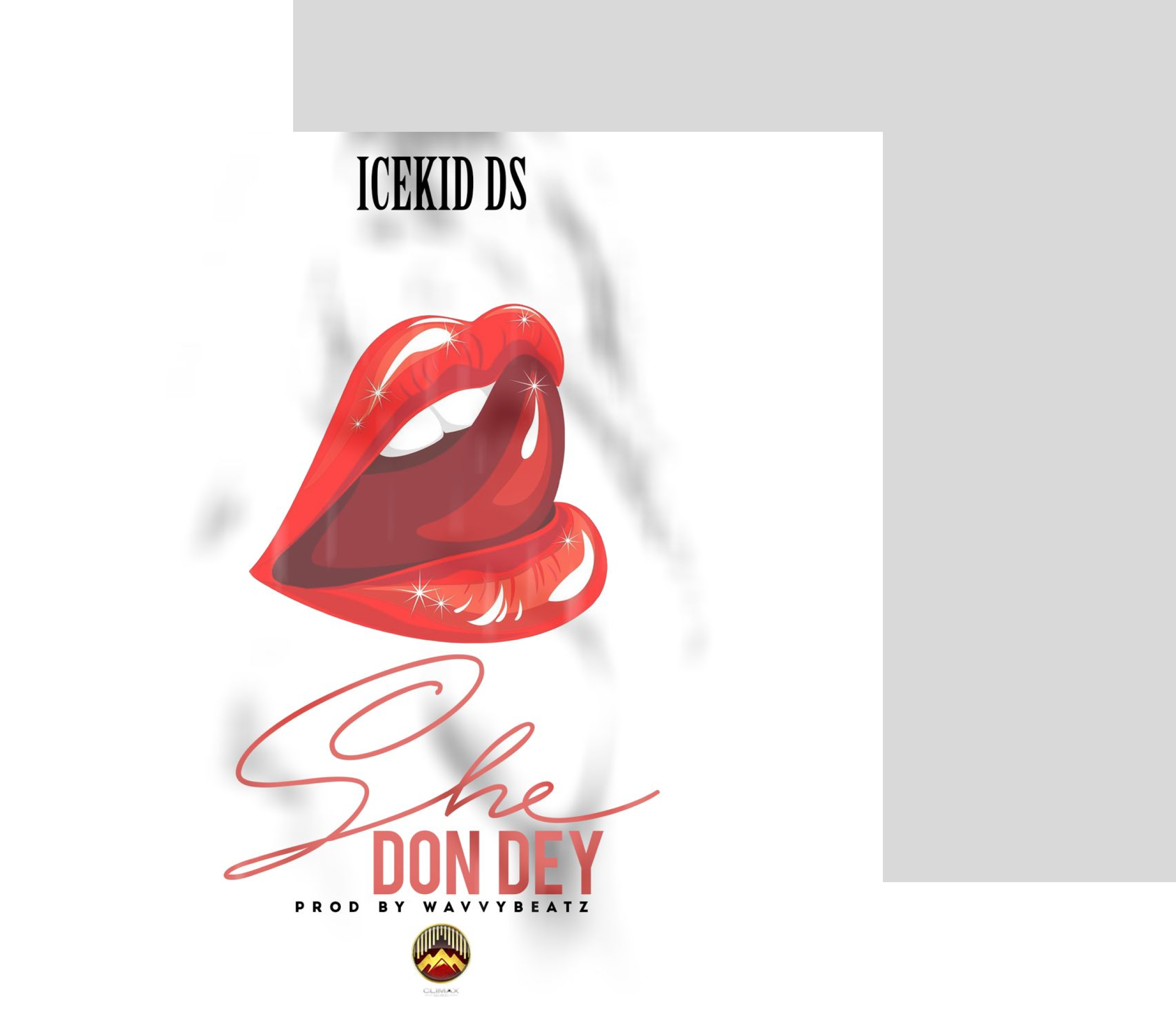 She Don Dey song by Icekid Ds